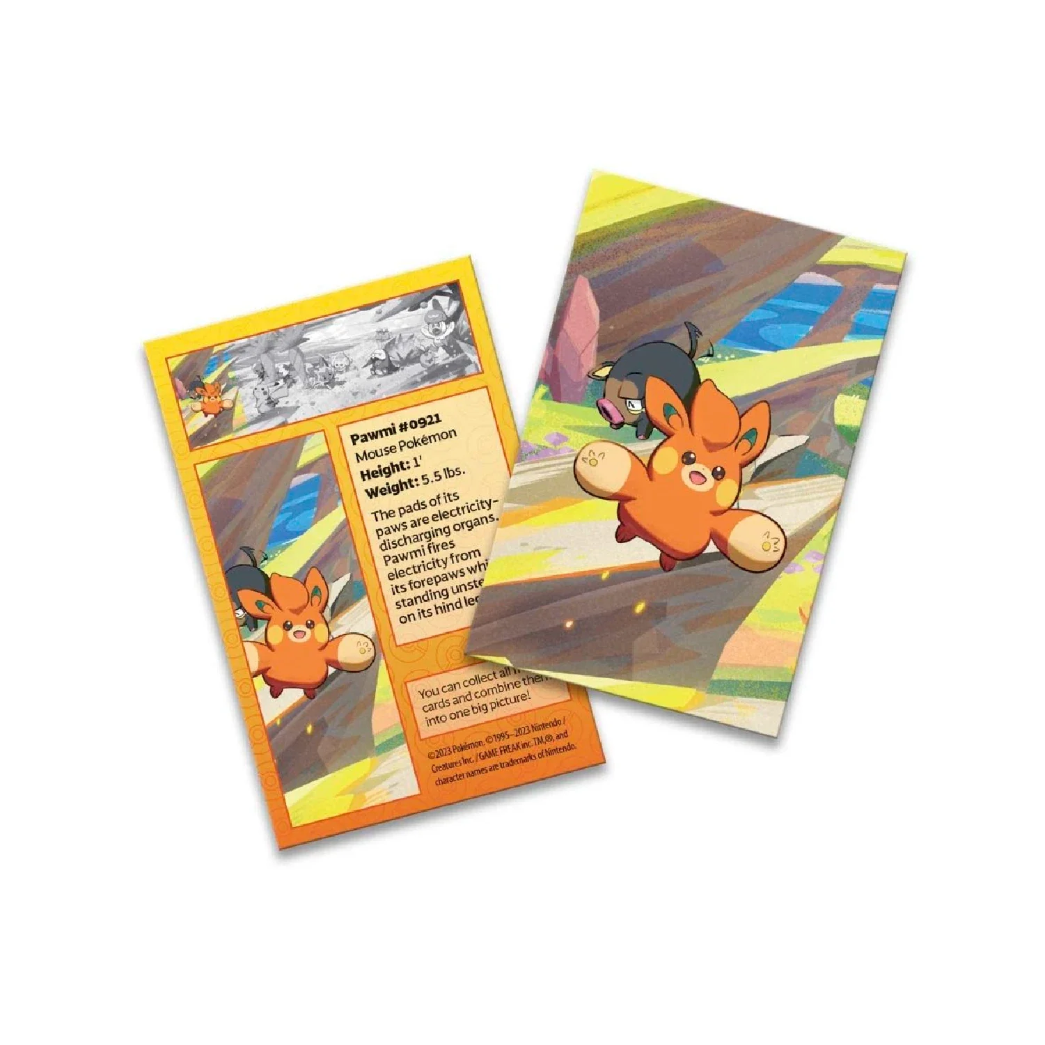 Pokemon TCG: Paldea Friends Mini Tin - Image 8